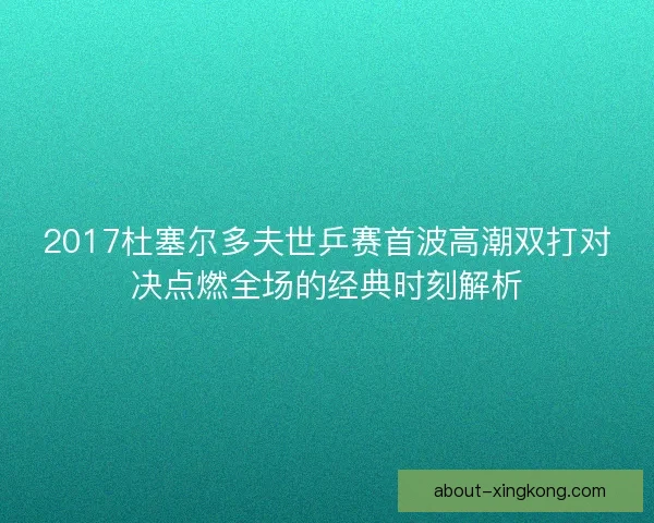 2017杜塞尔多夫世乒赛首波高潮双打对决点燃全场的经典时刻解析