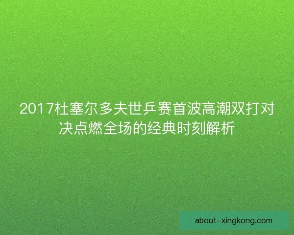 2017杜塞尔多夫世乒赛首波高潮双打对决点燃全场的经典时刻解析