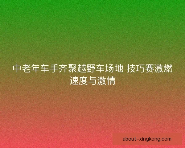 中老年车手齐聚越野车场地 技巧赛激燃速度与激情