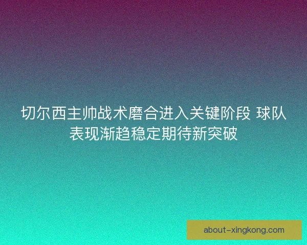 切尔西主帅战术磨合进入关键阶段 球队表现渐趋稳定期待新突破